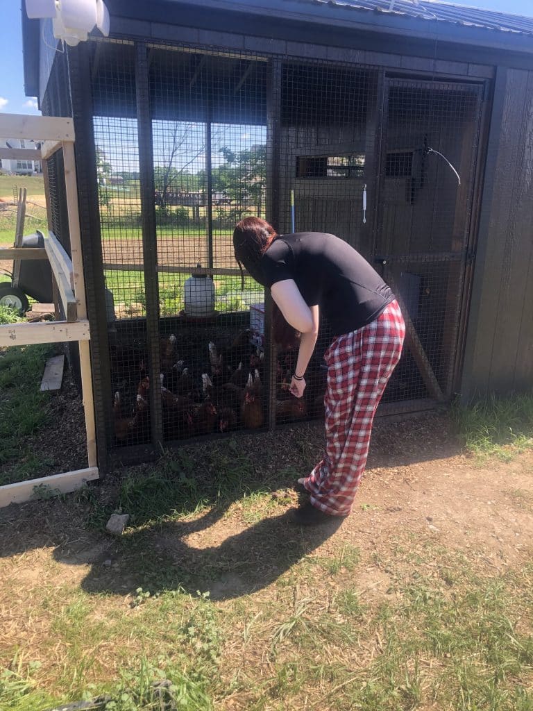 Person in red plaid pants feeding chickens inside a dark wooden chicken coop with wire mesh walls.