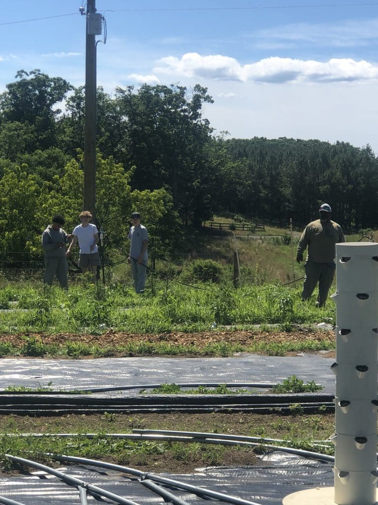 Group of four men standing outdoors in a grassy, rural area near a metal utility pole and power lines, with pipes on the ground.